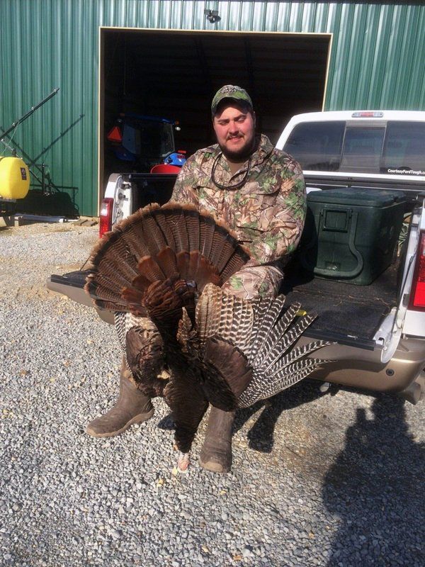 Tennessee Turkey Hunting Guide, Tennessee Turkey hunting Outfitter