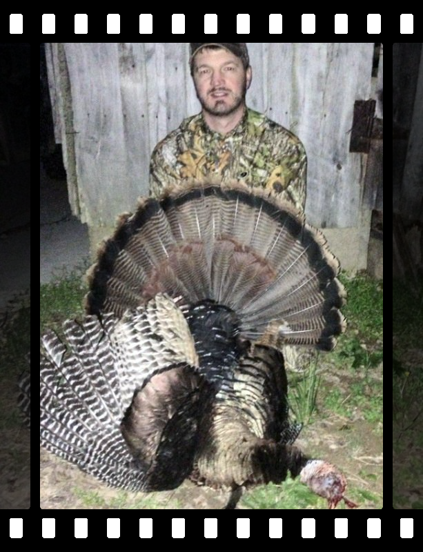 Tennessee Turkey Hunting Guide, Tennessee Turkey hunting Outfitter