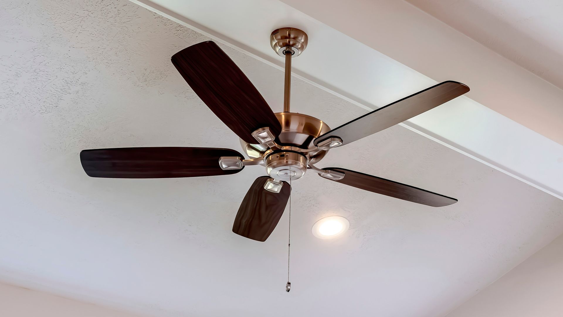 Ceiling Fan Buying Guide: How to Shop Ceiling Fans in Hawaii