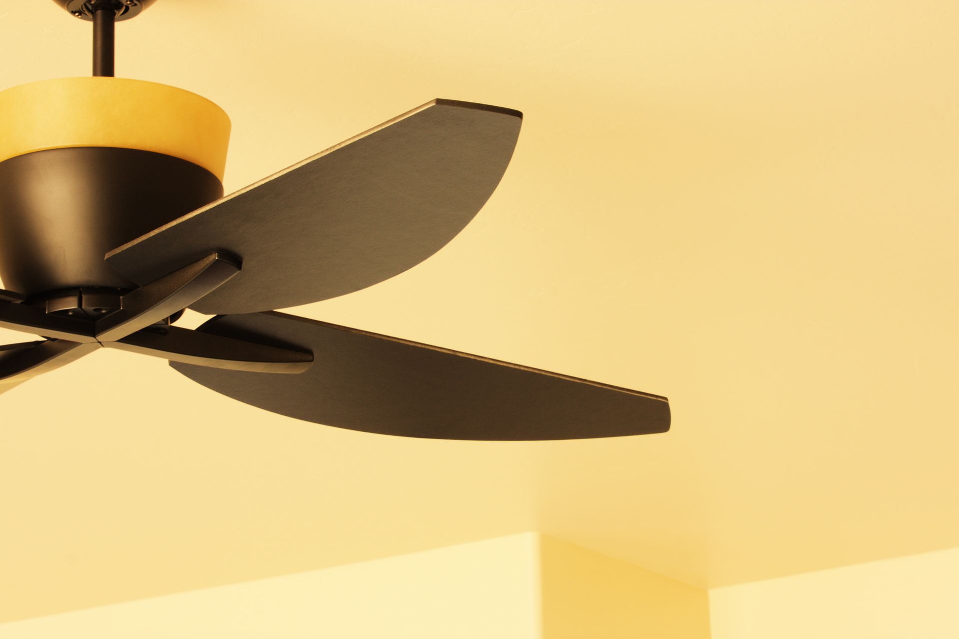 How to Choose the Best Ceiling Fans in HI for Your Living Space