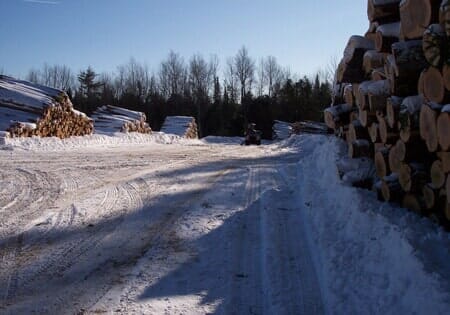 Wood Yard - Forest Management in Hudson, ME