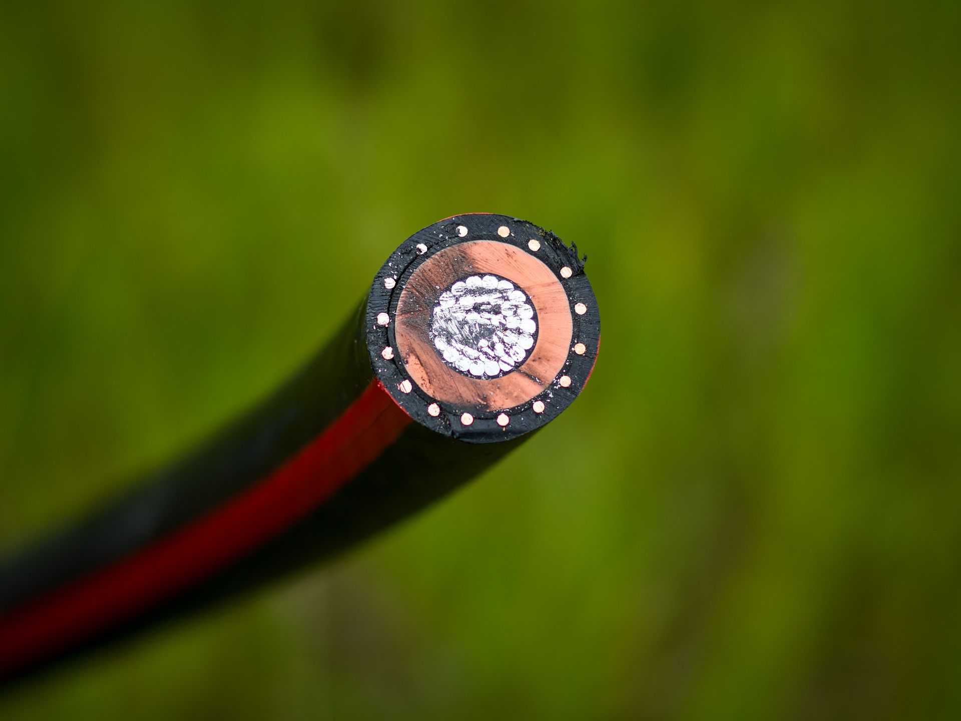 Cross-section of a black and red electrical cable, showing its internal layers and conductors against a green background.