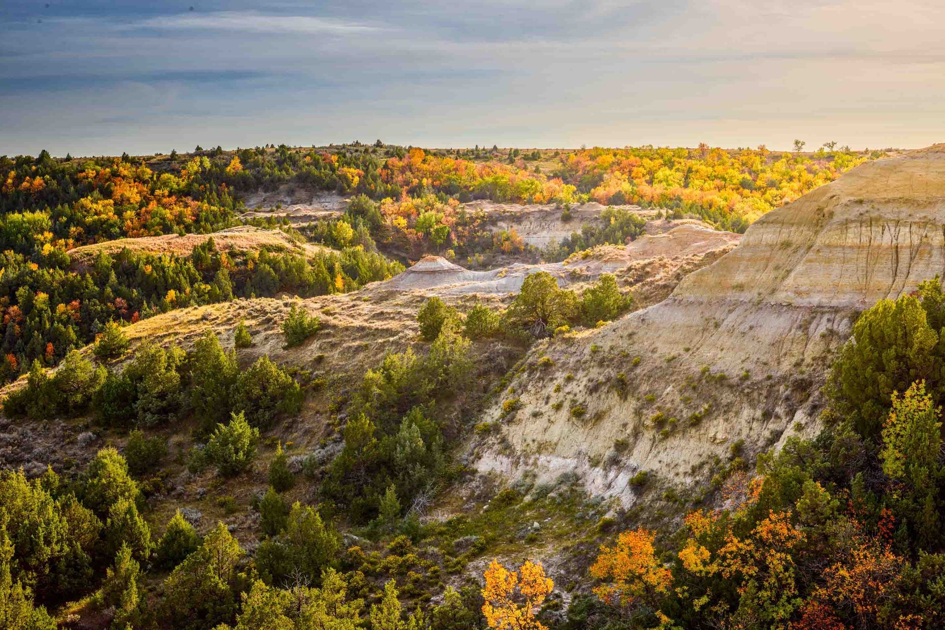 Autumn landscape with canyons, trees in fall colors, and a blue sky.