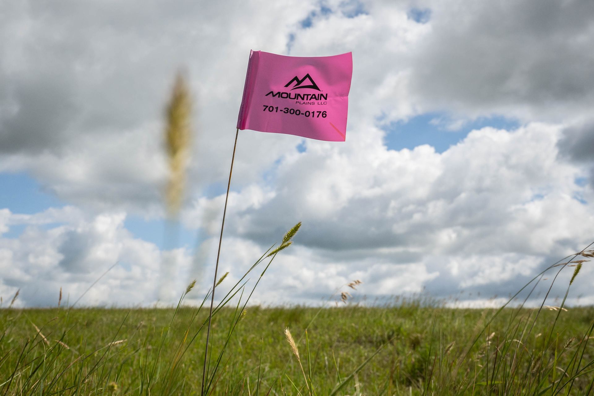 Pink flag with mountain logo, blowing in field of green grass against cloudy sky.
