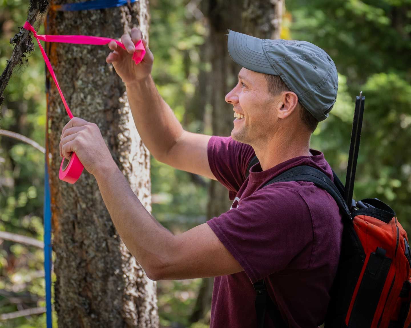 Man in maroon shirt and gray cap ties pink tape around a tree in a forest.