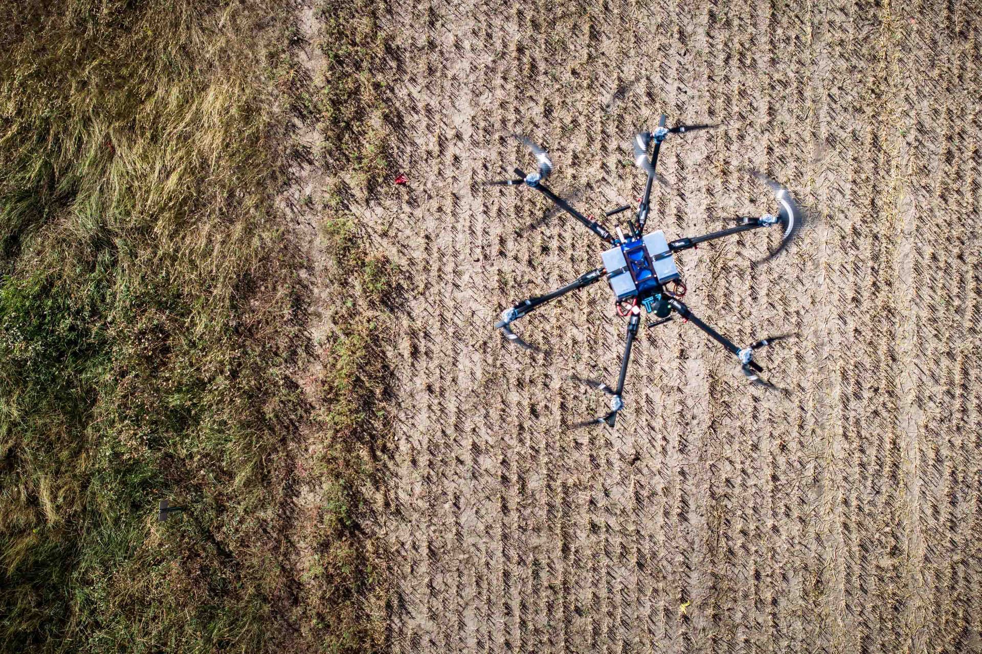 Drone hovering over a harvested agricultural field, seen from above.