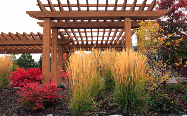 A photo of a pergola built next to a lovely flowerbed with red, yellow, and orange plants