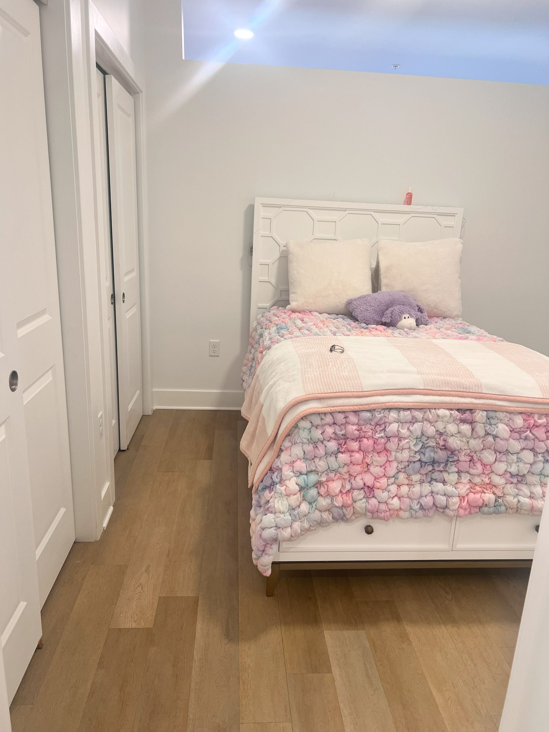 A bedroom with a bed , closet , and hardwood floor.