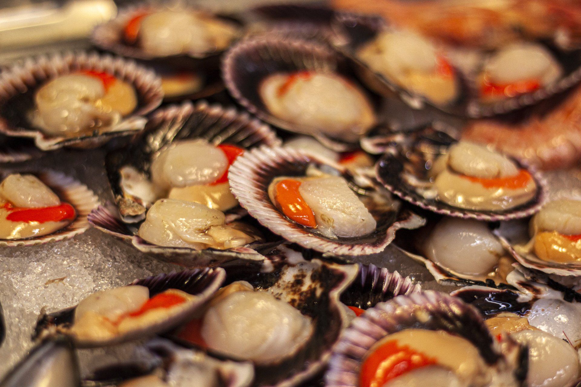 Foto de marisco