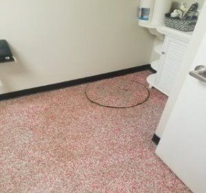 commercialpaintingplus