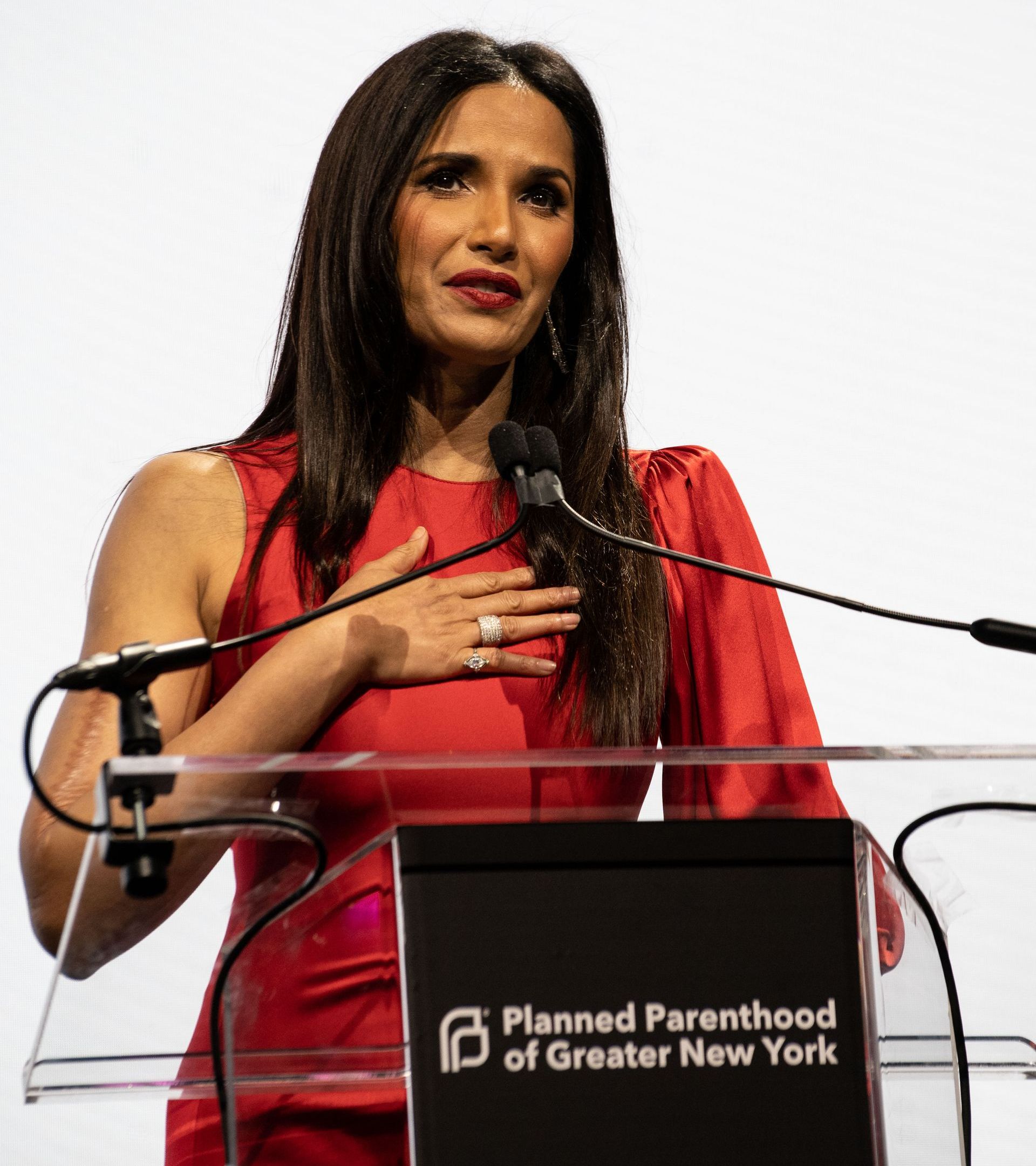 Planned Parenthood Event at The Glasshouse - photo of a woman in a red dress is standing at a podium speaking into a microphone .