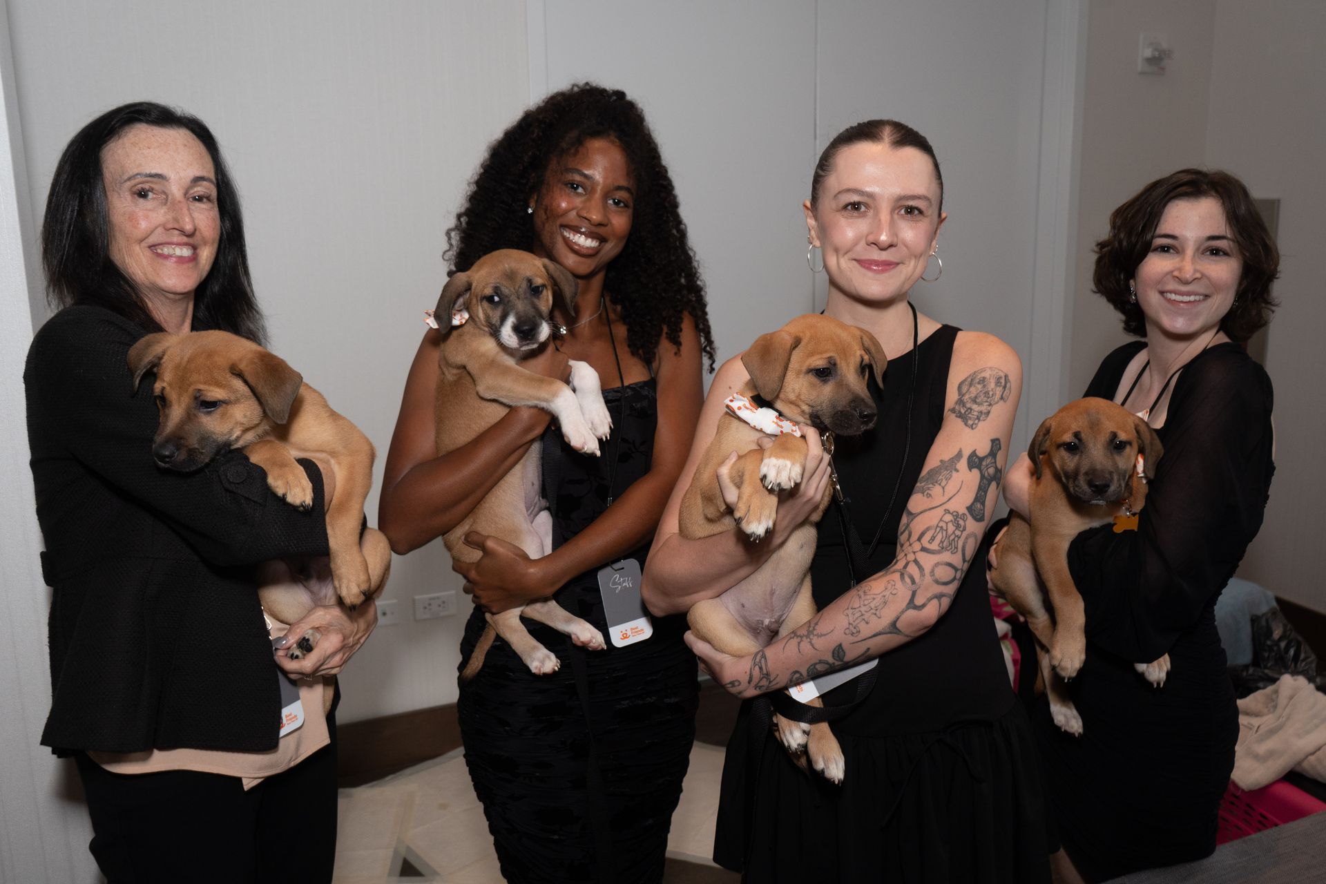 A group of women are holding puppies in their arms.