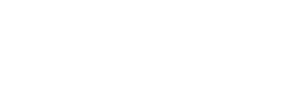 Logo del partner