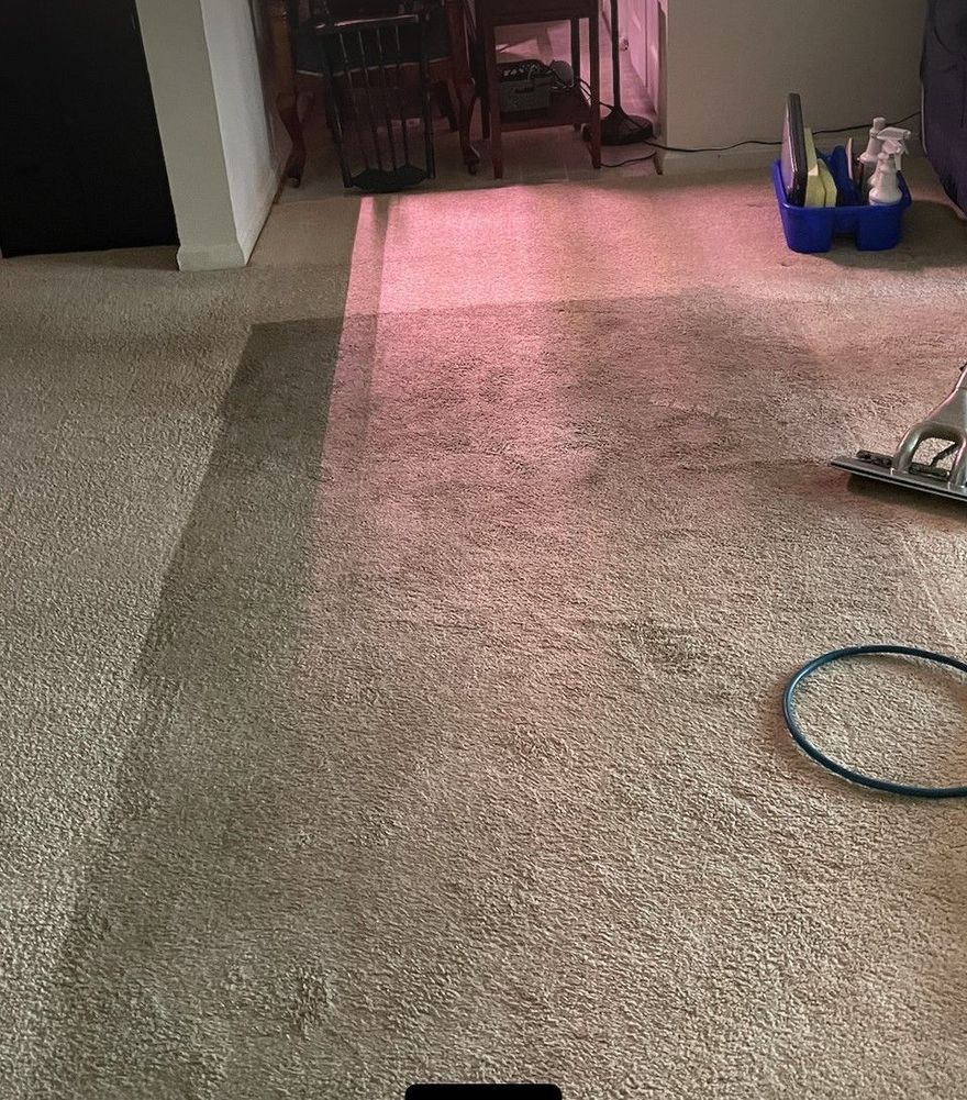 A room with a carpet showing a clean, light-colored patch contrasting against the darker, soiled surrounding carpet.