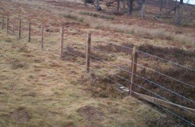 Rail fences
