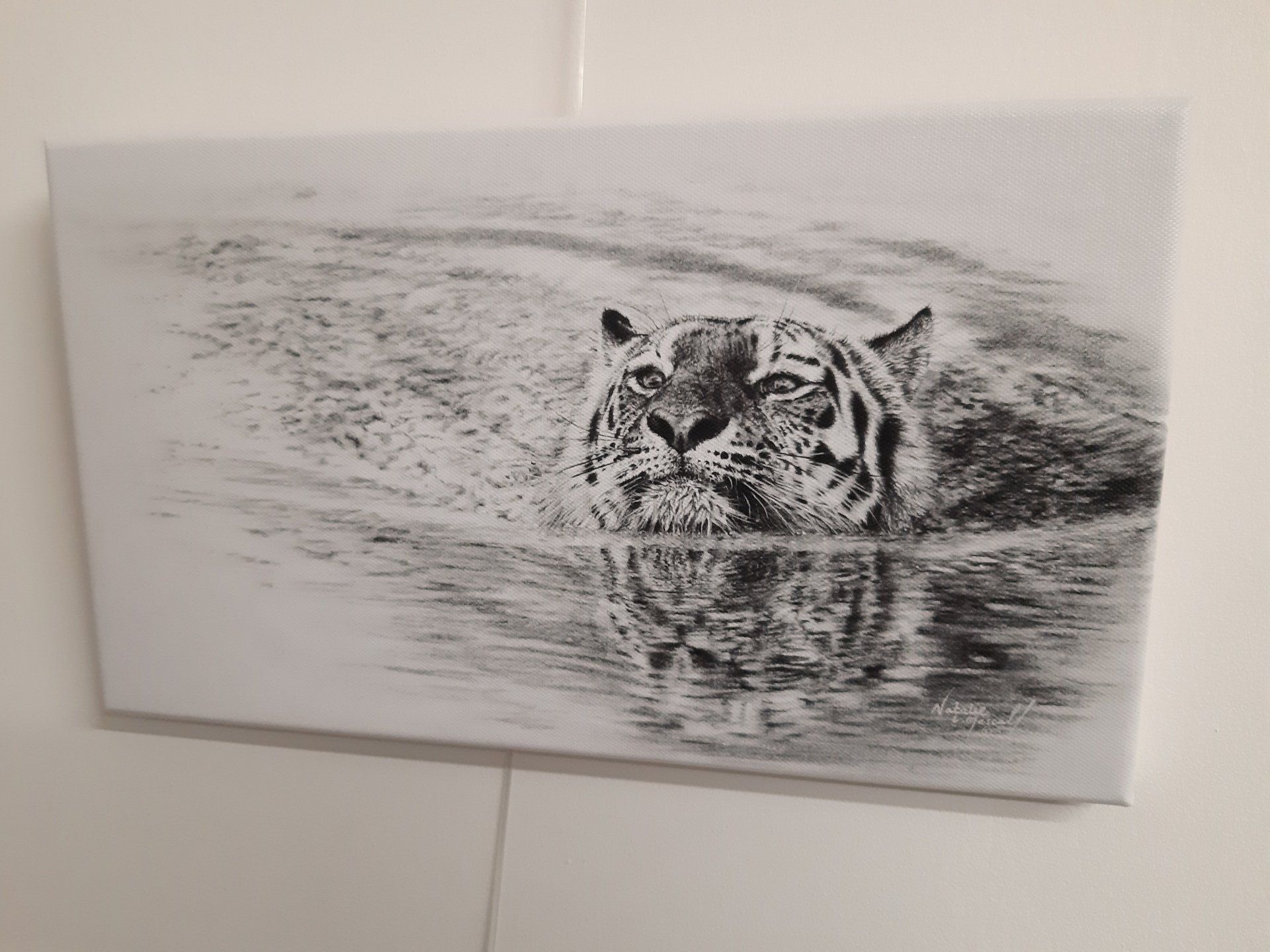 swimming tiger, tiger art, drawing of a tiger, big cat, charcoal art, canvas print, tiger print, print, day of the dead art, day of the dead, day of the dead drawing, drawing of day of the dead theme, creative art, pastel art, commissions welcomed, arty, beautiful woman, monarch butterflies,