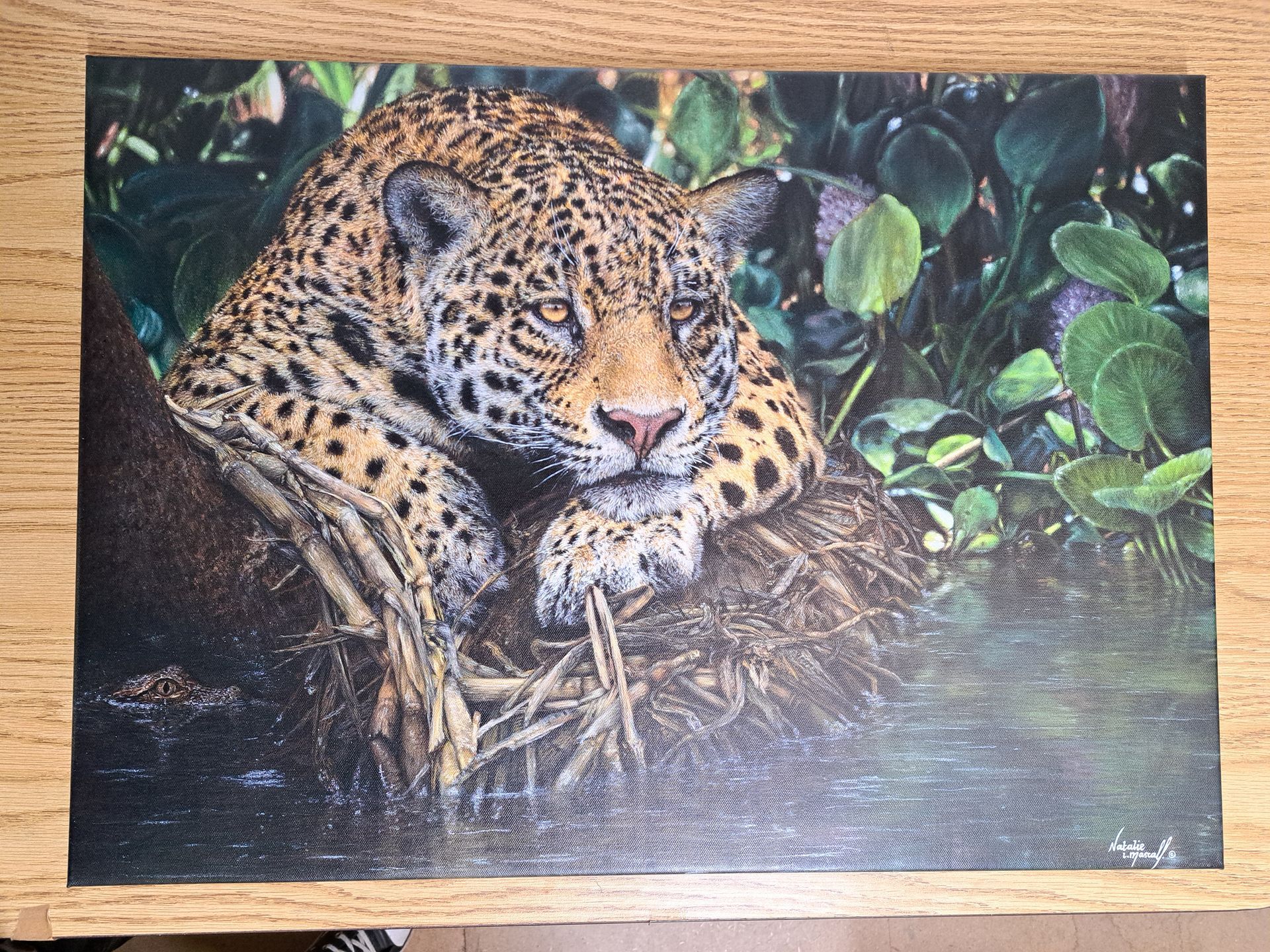 jaguar art, jaguar drawing printed to canvas, jaguar print, limited edition canvas prints