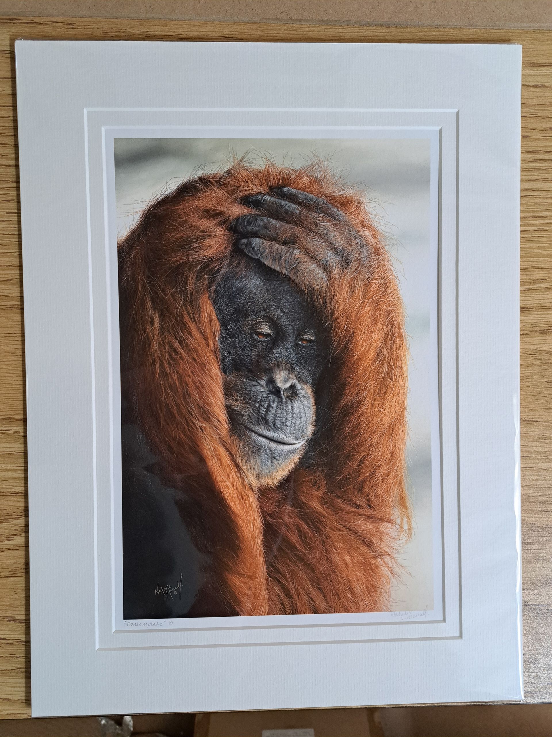 canvas print, orangutan drawing printed to canvas, award winning artwork printed to canvas, canvas art, open edition print, giclee print, fine art print, great ape art, great ape canvas print, custom canvas,