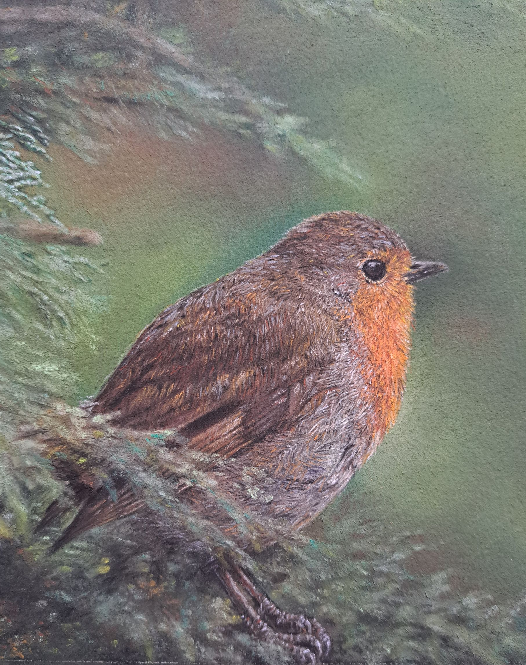 Original artwork for sale by Natalie Mascall, Award winning artist Natalie Mascall available artwork to purchase, artwork for sale, artwork for sale by artist Natalie Mascall, Art by Natalie, Available artwork, available realistic animal art, buy direct from artist Natalie Mascall, award winning artist Natalie Mascall artwork for sale,