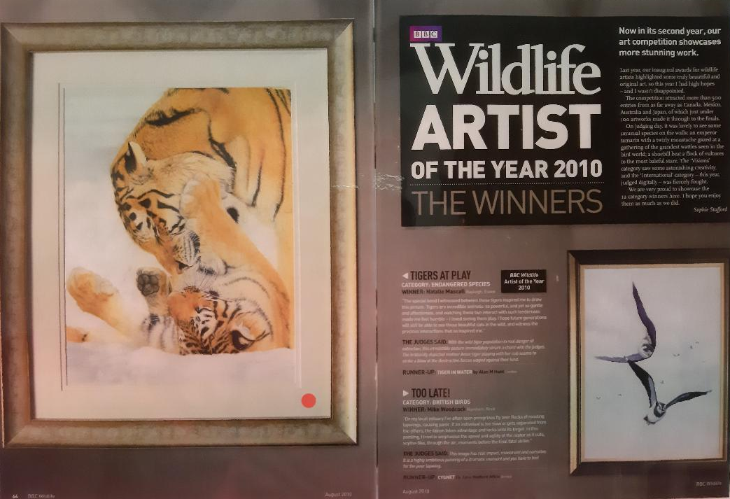 Natalie Mascall's awards, BBC Willdife artist of the year, peoples choice,