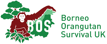 association of animal artists, animal artist, wildlife artist, natalie mascall is a full member of the society of feline artists, SOFA, S.O.F.A., feline artist, cat artist, cat drawings, won the Llewellyn alexander gallery award,