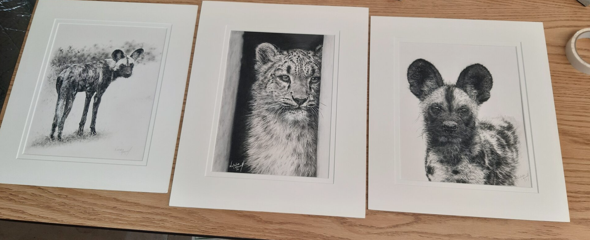 artists for painted dogs, #afpd , AFPD, autumn exhibition, art for a cause, art for conservation, helping wildlife through art, art for sale, art helping animals, art for painted dogs, buy art save animals, art saving wildlife, art show for painted dogs, supporting various charities with art, drawings, realistic art, realistic fine art, painted dog art, snow leopard art, charcoal drawings,