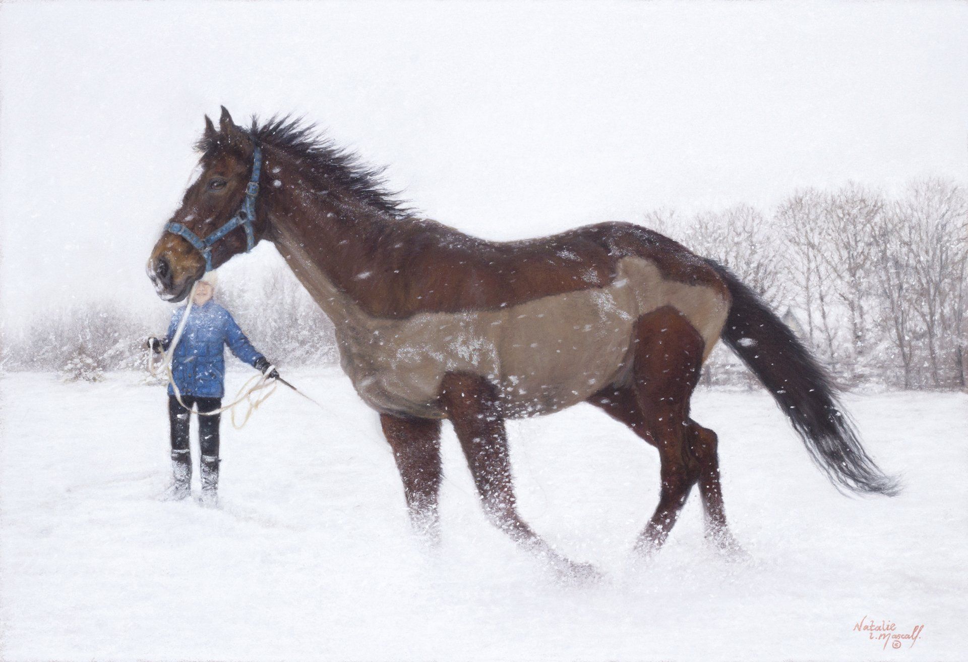 My pastel drawing of John Gee, horse drawing, horse commission, equine,