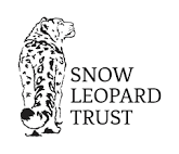 snow cat, snow leopard, sow leopard trust, endangered species, helping wildlife through art,