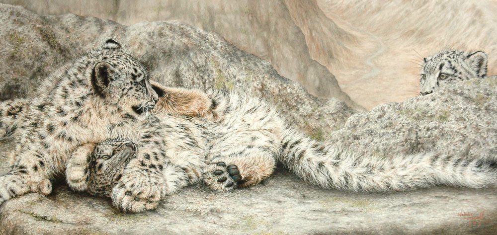 snow leopard, endangered species, short-listed for WAY, big cats, snow cat, drawing, pastel, art, feline, DSWF, mall galleries,