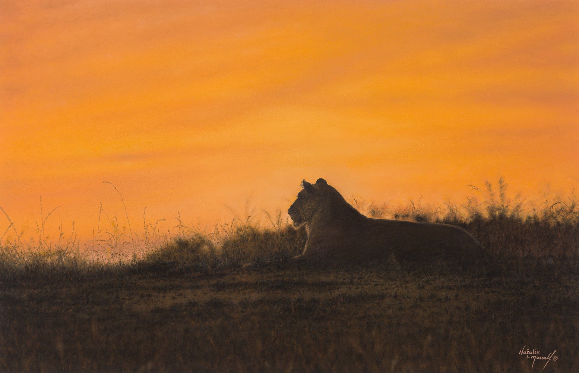 WAY finalist, lioness, sunset, the mara, Kenya,