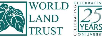 the world land trust, protecting the land, great ape, falling for the orang-utan, fundraiser, cheetah conservation fund, helping wildlife through art, cheetah, big cats,