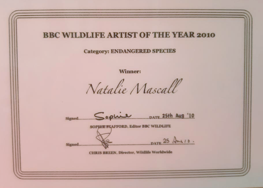 BBC wildlife category winner, Natalie wins the Christopher parson award, BBC Wildlife Artist of the year category winner, BBC overall winner, BBC Willdife artist of the year, Natalie's adventures, Society of Feline Artist award, feline artist, cat artist award, Llewellyn award, Natalie Mascall's awards, BBC Willdife artist of the year, peoples choice,