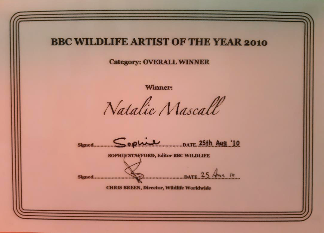 BBC Wildlife Artist of the year category winner, BBC overall winner, BBC Willdife artist of the year, Natalie's adventures, Society of Feline Artist award, feline artist, cat artist award, Llewellyn award, Natalie Mascall's awards, BBC Willdife artist of the year, peoples choice,