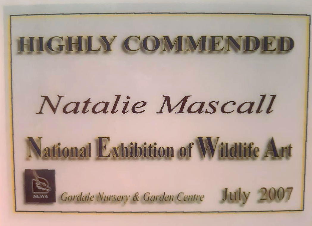Highly commended, Natalie wins trip to Nepal, Wildlife artist wins trip to Nepal, BBC wildlife category winner, Natalie wins the Christopher parson award, BBC Wildlife Artist of the year category winner, BBC overall winner, BBC Willdife artist of the year, Natalie's adventures, Society of Feline Artist award, feline artist, cat artist award, Llewellyn award, Natalie Mascall's awards, BBC Willdife artist of the year, peoples choice,