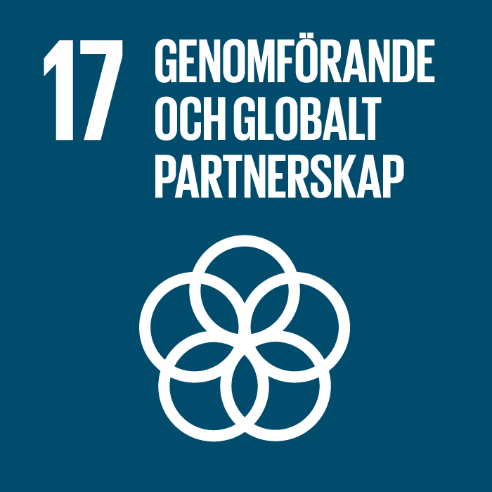Logga 17 Genomförande och globalt partnerskap
