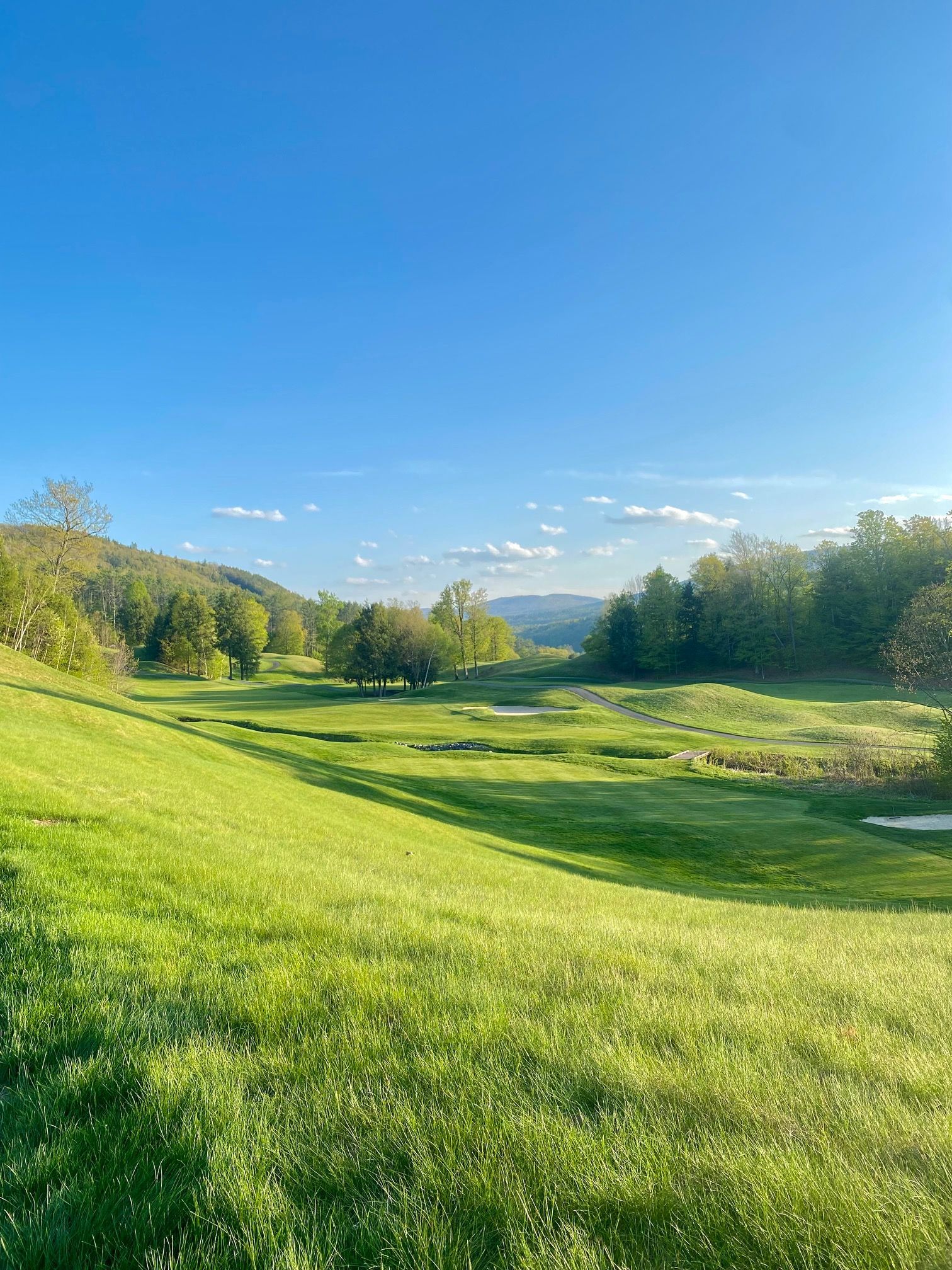 A golf course with a lot of green grass and trees in the background.