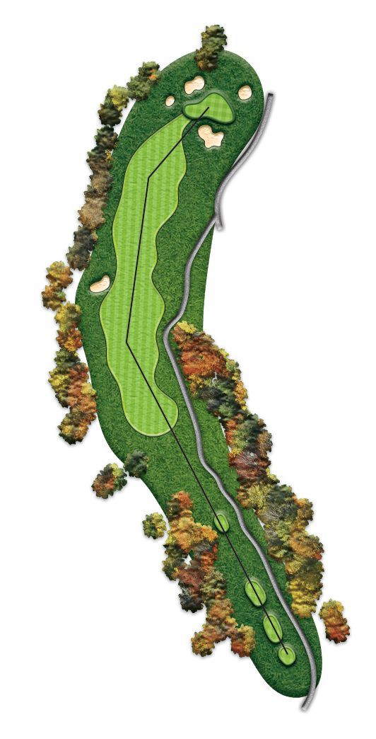 A picture of a golf course with trees and a road.