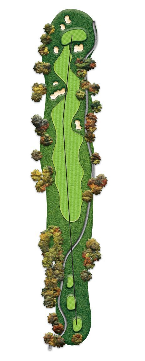 A picture of a golf course with trees and a road.