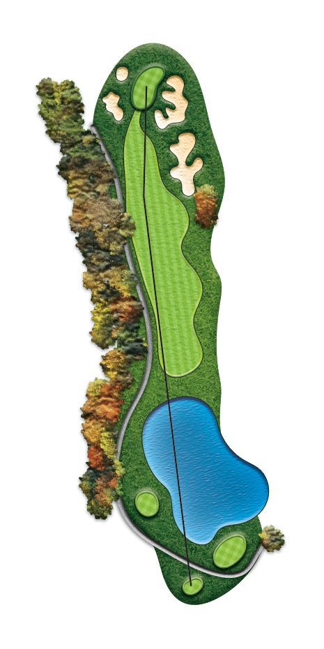 A picture of a golf course with trees and a road.