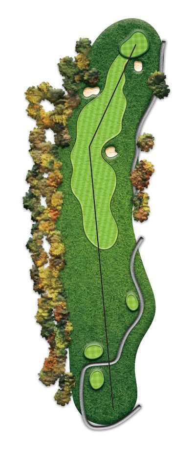 A picture of a golf course with trees and a road.