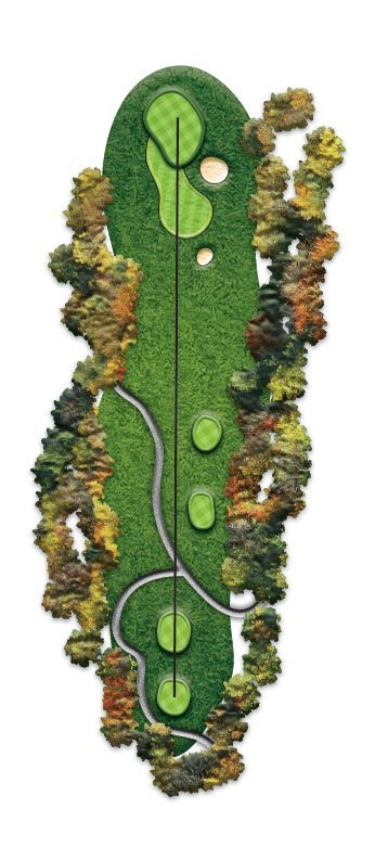 A picture of a golf course with trees and a road.