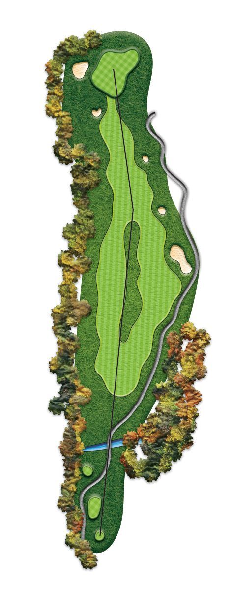 A picture of a golf course with trees and a road.