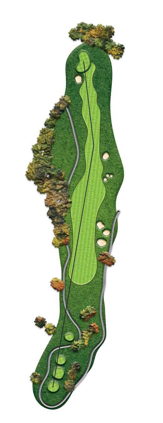 A picture of a golf course with trees and a road.