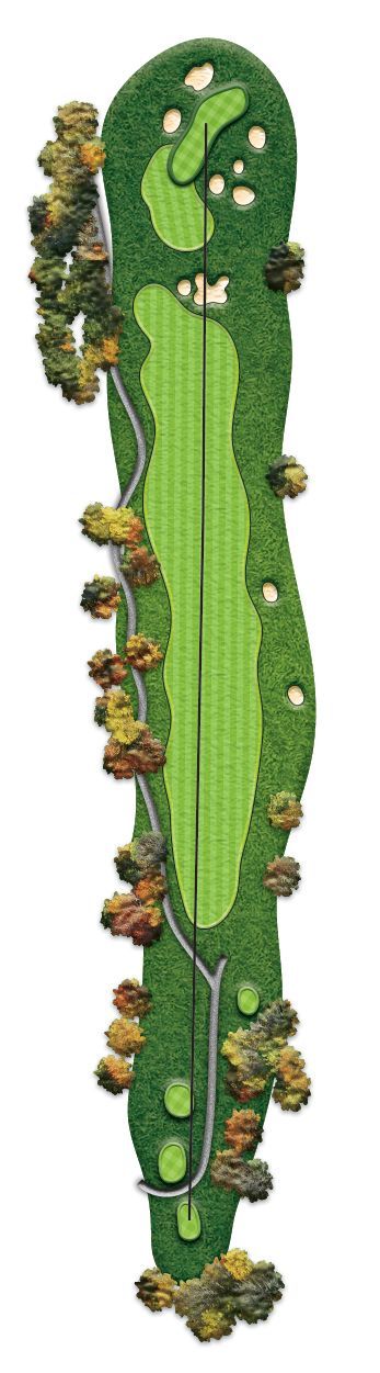 A picture of a golf course with trees and a road.