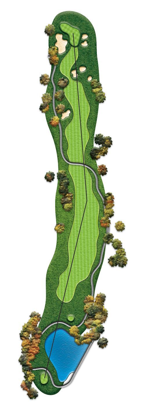 A picture of a golf course with trees and a road.