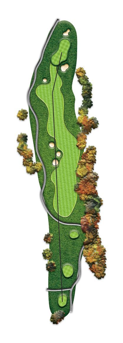 A picture of a golf course with trees and a road.