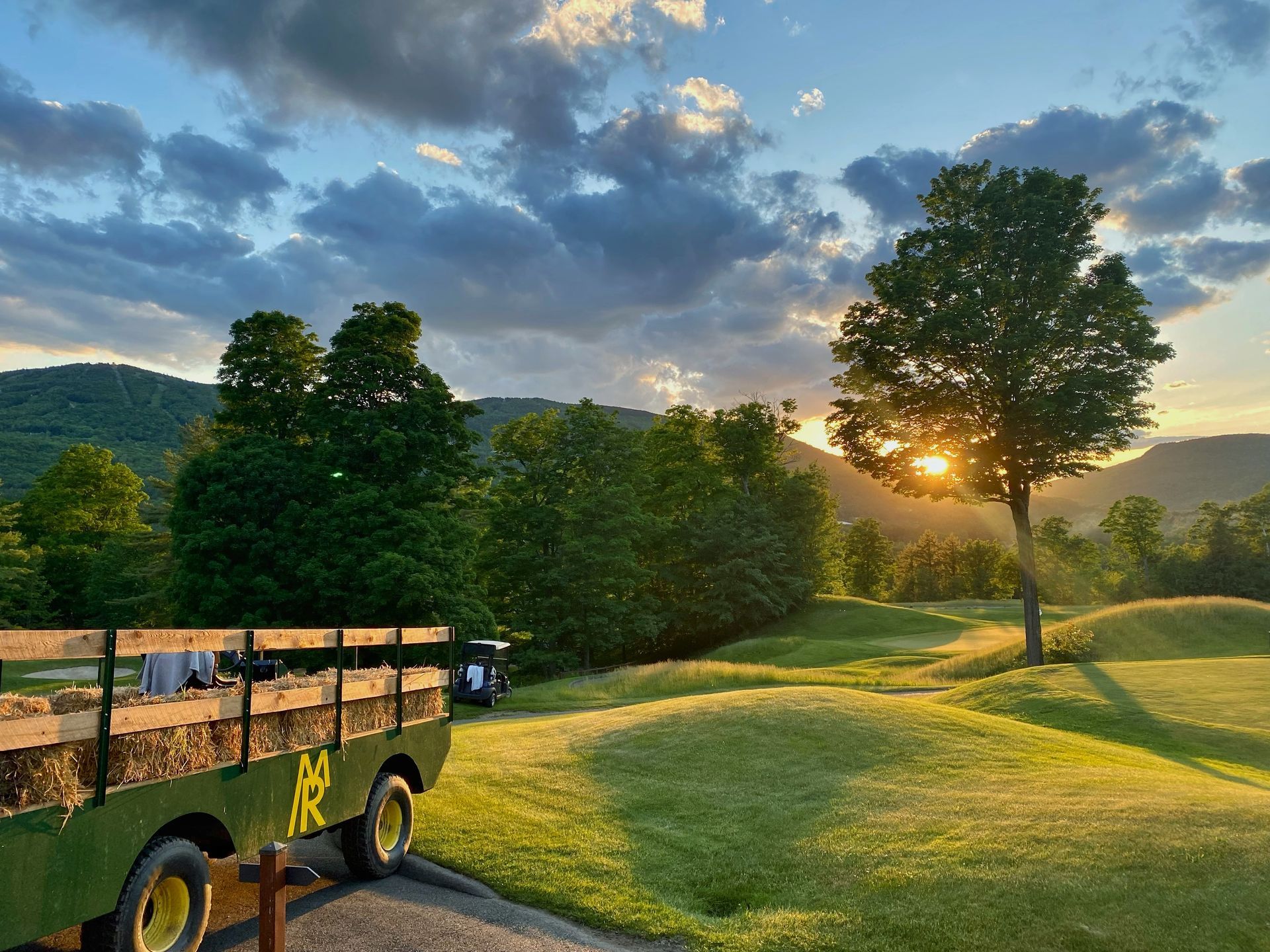 A green truck is parked in a grassy field with mountains in the background.