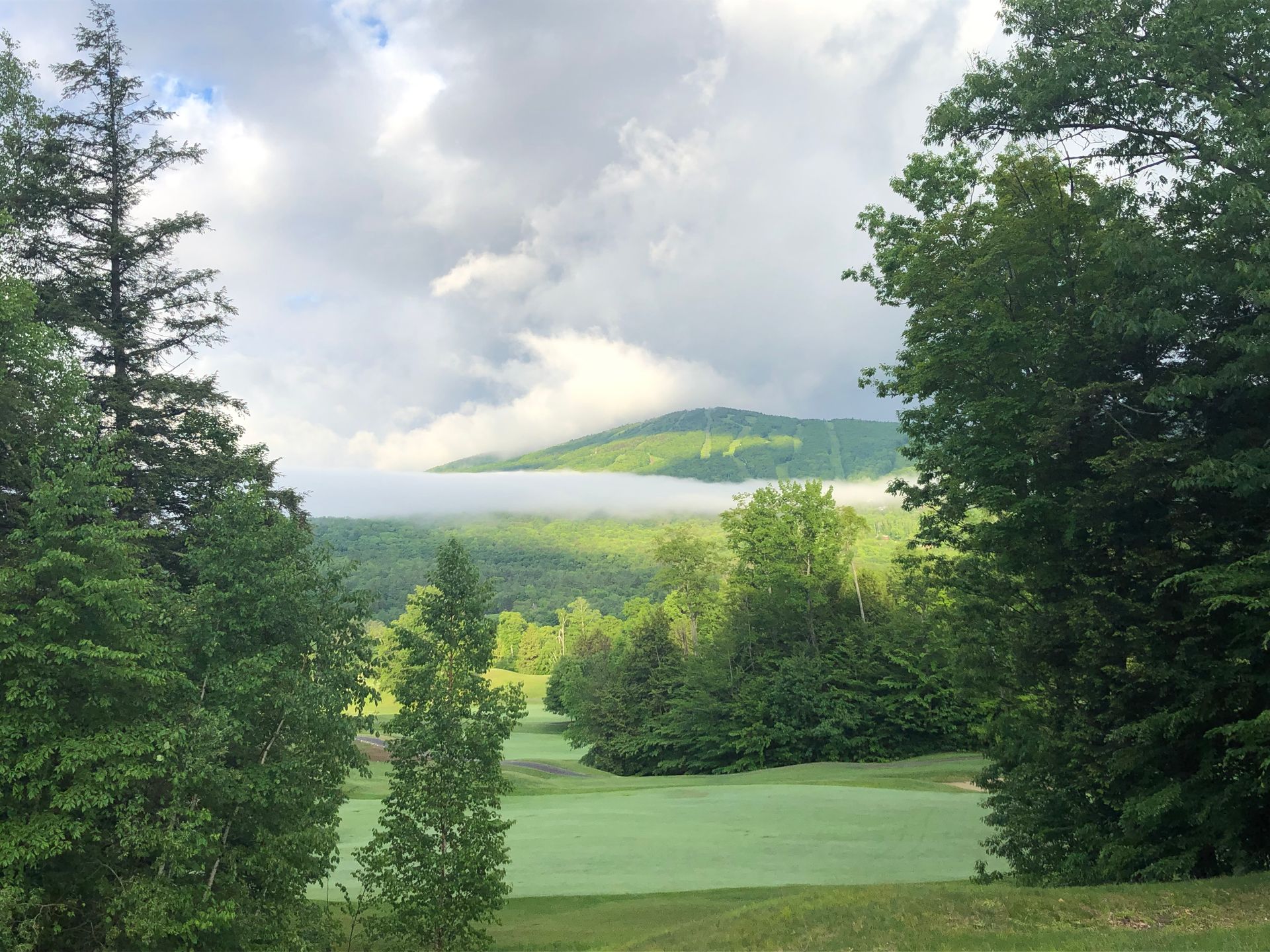 A lush green field with trees and mountains in the background