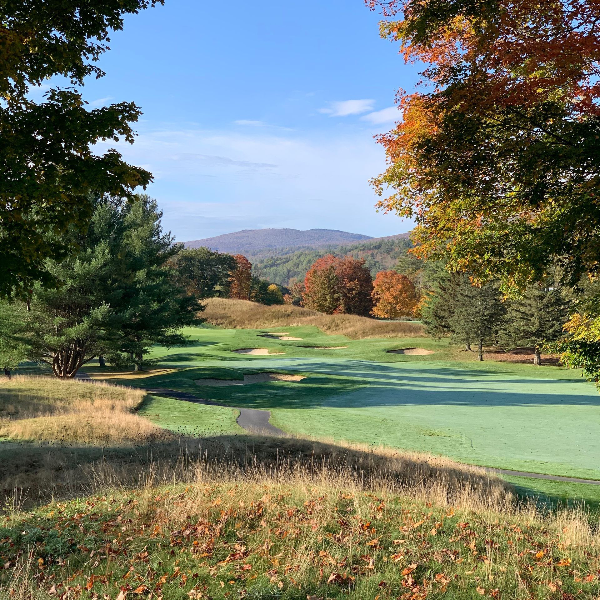 A golf course with trees and mountains in the background