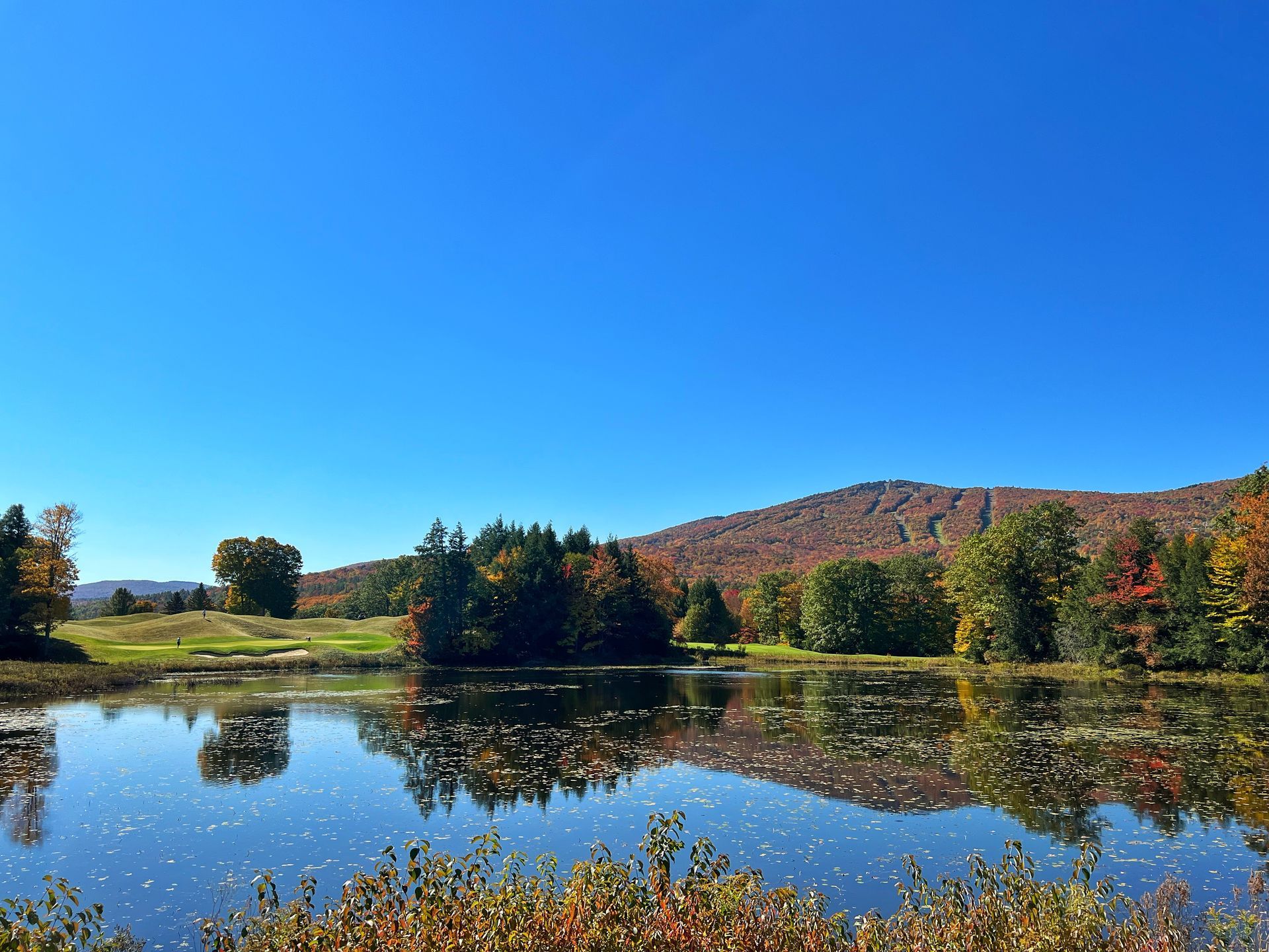 A lake surrounded by trees and mountains on a sunny day
